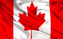 Animation drap canada t.gif 149 × 113; Canada Flag GIFs | Tenor
