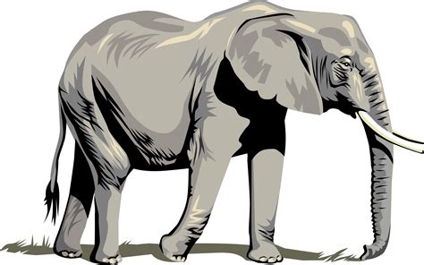 Cartoon Elephant Vector Clipart Best