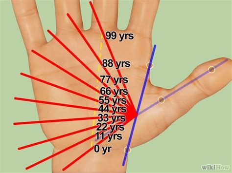 Learn How To Read Your Hand Lines Palmistry Indian Palm Reading