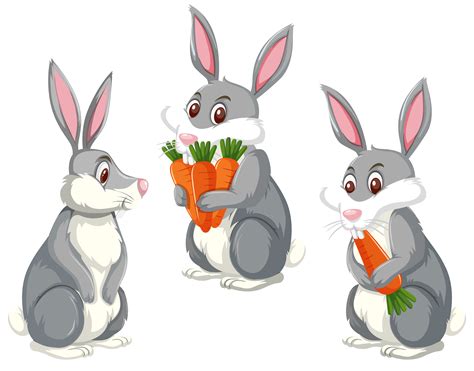 Cartoon Rabbit Clipart Best Clipart Best Vrogue Co