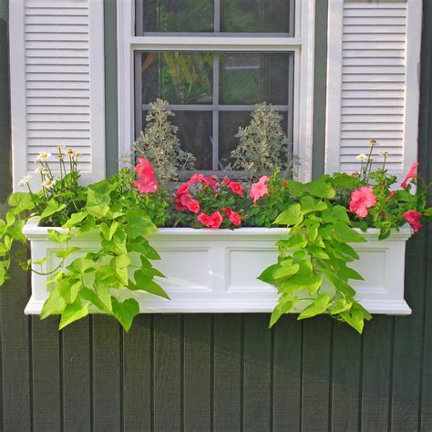 After all, white flowers look good with everything—especially with a white window frame. Mayne Fairfield 11 in. x 36 in. Plastic Window Box-5822W ...