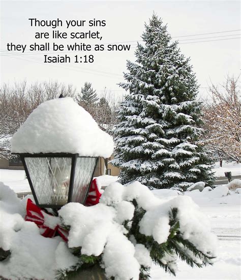 What A Wonderful Reminder On This Winter Morning Isaiah Bible