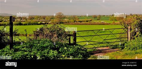 Wiltshire Countryside Seen Through A Field Gateway Stock Photo Alamy