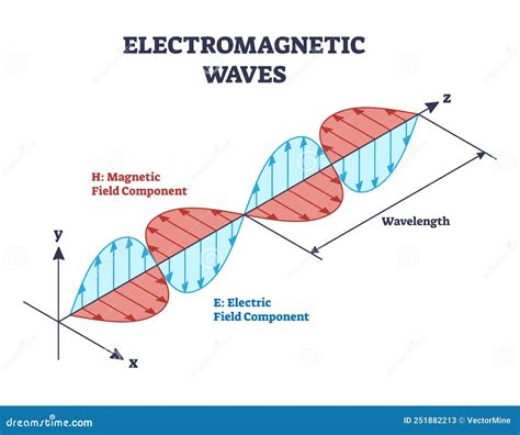 Electromagnetic Waves X Ray Wave Spectrum Vector Illustration Diagram