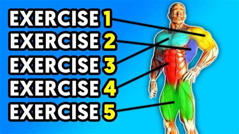 How To Hit Every Muscle Group In Minutes Home Workout YouTube