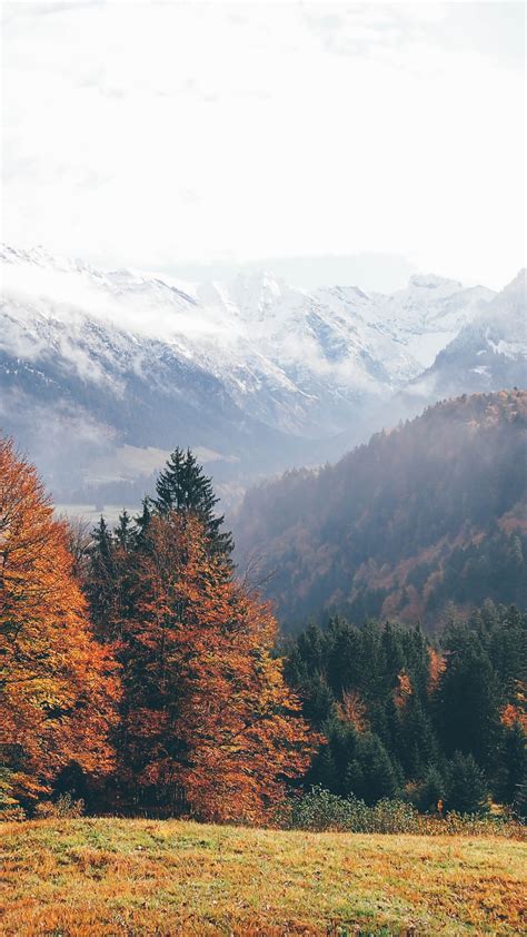 Wallpaper Oberstdorf Germany Mountains Autumn Forest 4k Nature 16347