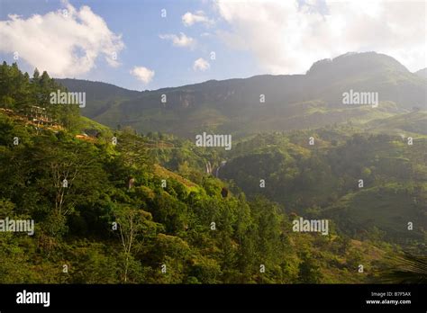 Nuwara Eliya Hill Country In Sri Lanka Stock Photo Alamy