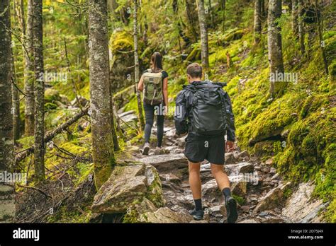 Hike Couple Hikers Hiking Forest Trail In Autumn Nature Going Camping With Backpacks Friends