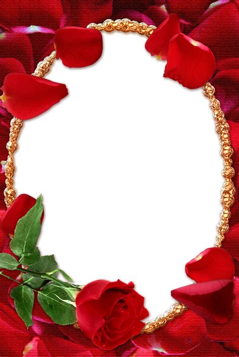 Rose Transparent Frame | Gallery Yopriceville - High-Quality Images and
