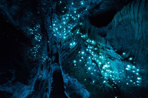 Glow Worm Cave Hd Wallpapers