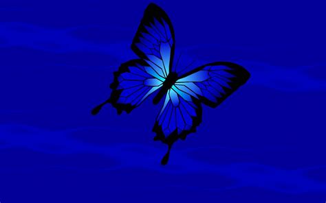 Blue Butterfly Wallpaper Hd Download Shardiff World