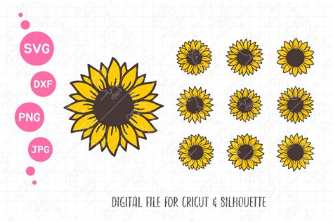 Sunflower Svg Bundle Sunflower Svg Graphic By Foxgrafy · Creative Fabrica