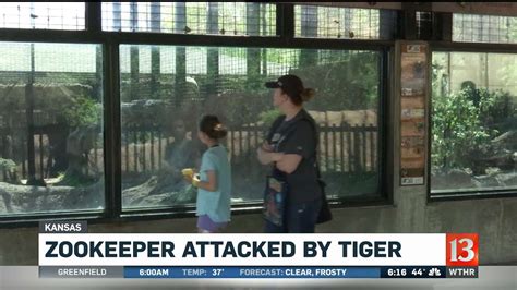 Zookeeper Attacked By Tiger Youtube