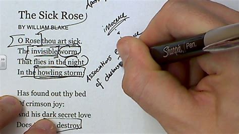 The Sick Rose By William Blake Youtube