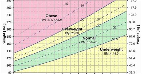 The chart covers the bmi range 19 to 35. BMI Chart for Adults to determine Normal, Obese ...