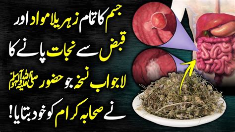 Senna Leaves Benefits For Constipation And Detox Your Body Urdu Hindi Sana Makki K Fayde Youtube