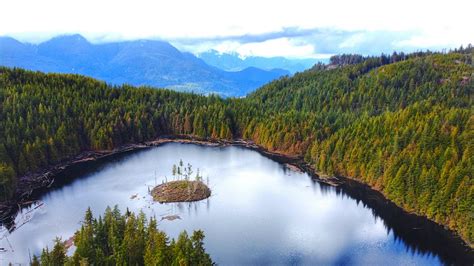 Top 6 Awesome Hikes In Mission Bc To Take Your Kids On This Season