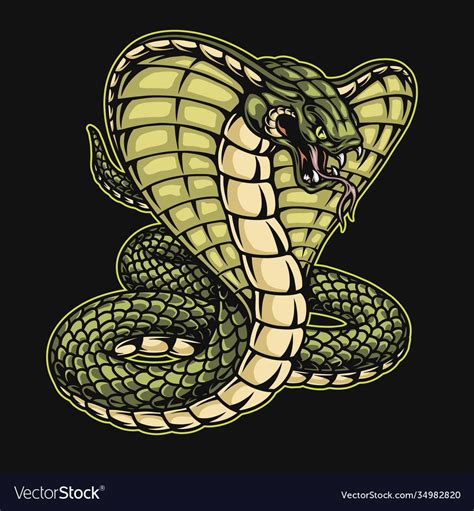 Snake Drawing Snake Art Retro Vector Vector Art King Cobra Snake