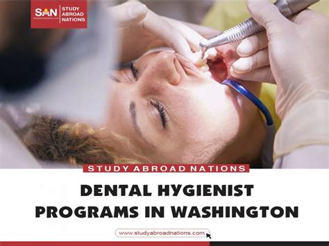 7 Best Dental Hygienist Programs In Washington