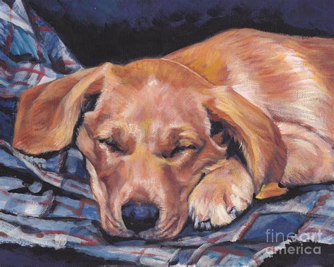 Labrador Retriever Sleeping Pup Painting By Lee Ann Shepard Fine Art