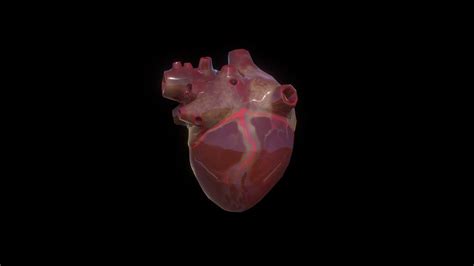 Human Heart Animation 3d Model By Joshkemp 554f874 Sketchfab