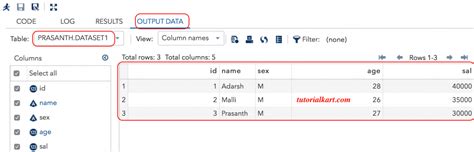 Sas Datasets Tutorialkart