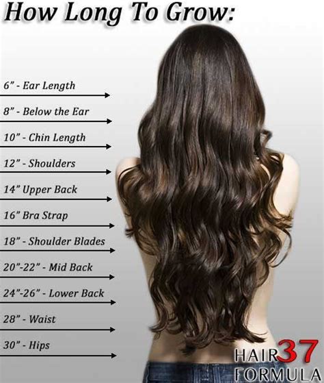 hair growth calculator how to make your hair grow faster hair chart long hair styles grow hair