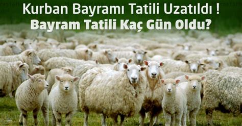 Cumhurbaşkanı recep tayyip erdoğan, bayram tatilinin 9 gün olarak uygulanacağını duyurdu. Kurban Bayramı Uzatıldı mı ? 2014 Kurban Bayramı tatili ...