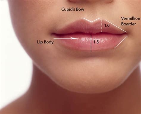 The Good The Bad And The Swollen What To Expect Before You Get Lip