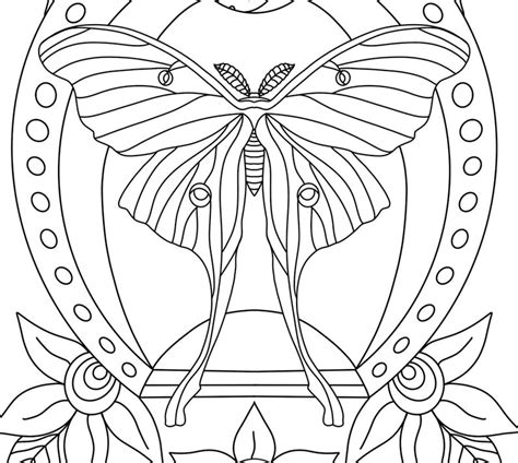 Https://tommynaija.com/coloring Page/adult Coloring Pages Procreate