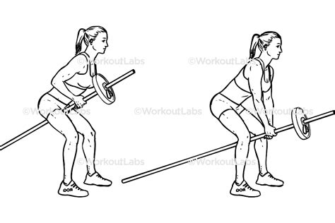 Bent Over Two Arm Long Barbell T Bar Rows Workoutlabs Exercise Guide