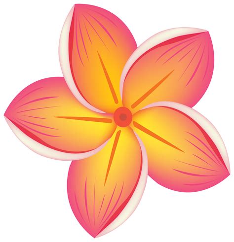 Hibiscus Clipart Plumeria Hibiscus Plumeria Transparent Free For