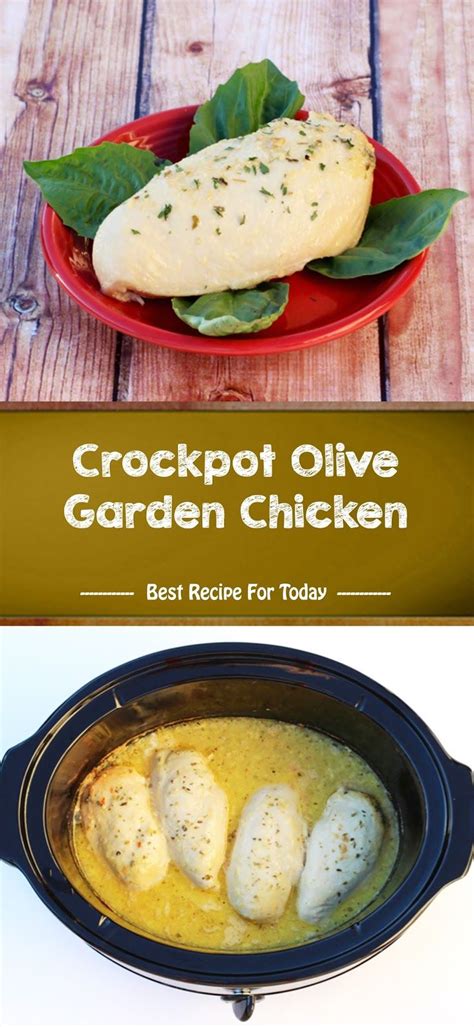 Relevance popular quick & easy. Crockpot Olive Garden Chicken in 2020 | Chicken crockpot ...