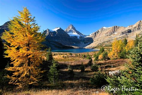 Mount Assiniboine And Lake Magog Roger Hostin Photography Roger Hostin