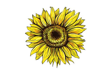 Download Sunflower Bundle Svg for Cricut, Silhouette, Brother Scan N