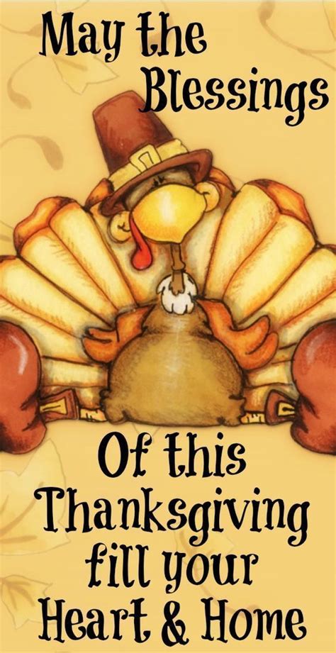 May the blessings memes holiday thanksgiving turkey happy thanksgiving