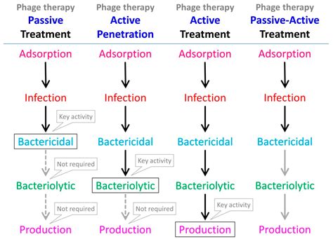Antibiotics Free Full Text Phage Antibiotic Combination Treatments