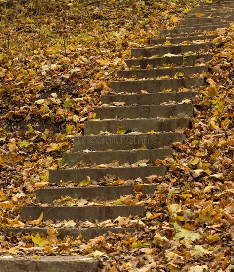 Autumn Concrete Stairs Stock Image Image Of Architecture 79392555