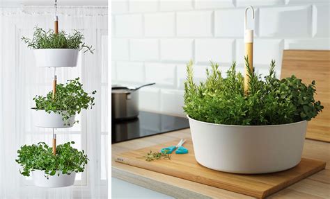 Indoor Garden Idea Hang Your Plants From The Ceiling
