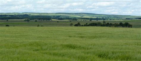 Lowlands accounting russia is a dutch owned accounting company in russia. The Lowlands, Scotland