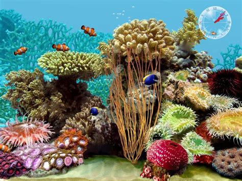 3d Tropical Fish Aquarium Screensaver Software Informer Screenshots