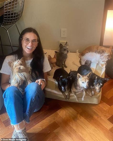 Demi Moore Looks Youthful As She Shows Off The Nine Dogs She Has In Her