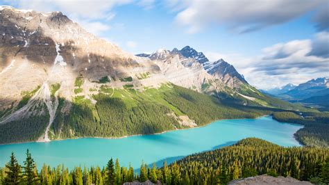 Lake Mountains Trees Spruce Landscape 4k Hd Wallpapers