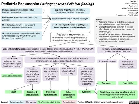 Pediatric Pneumonia Pathogenesis And Clinical Findings Calgary Guide