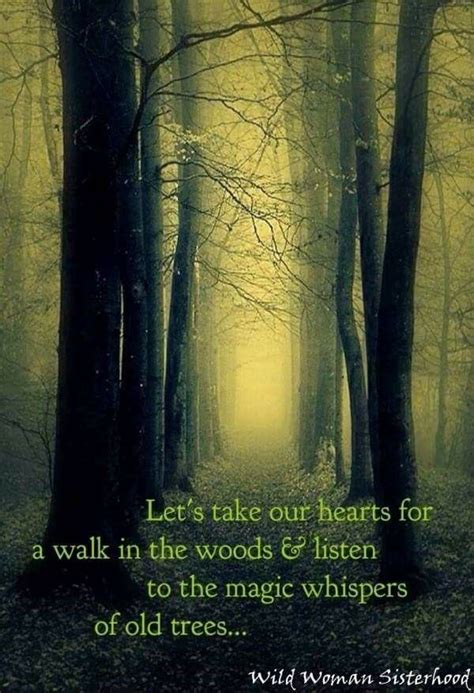 Pin By Rebecca Loy On The Sacred Feminine Into The Woods Quotes