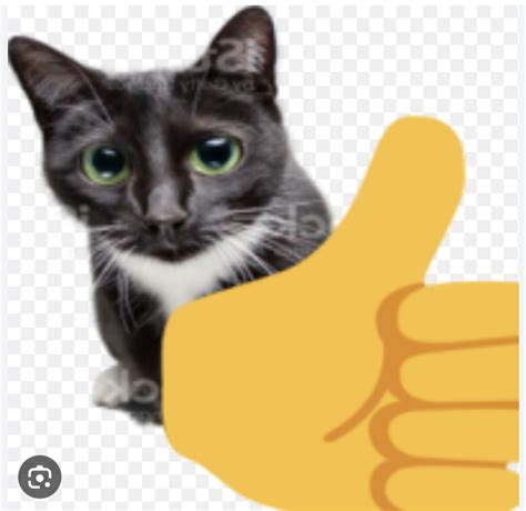 Thumbs Up Cat Blank Template Imgflip