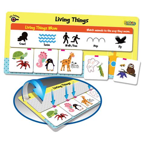 Self Checking Magnetic Science Games Baby And Adult Movement Living