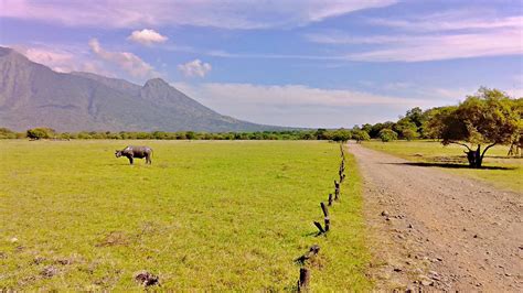 Baluran National Park Top Activities And Entrance Fee Idetrips