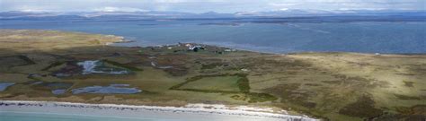 Discover Pebble Island Falklands