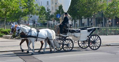 We did not find results for: Fiaker Foto & Bild | wien, österreich, world Bilder auf ...
